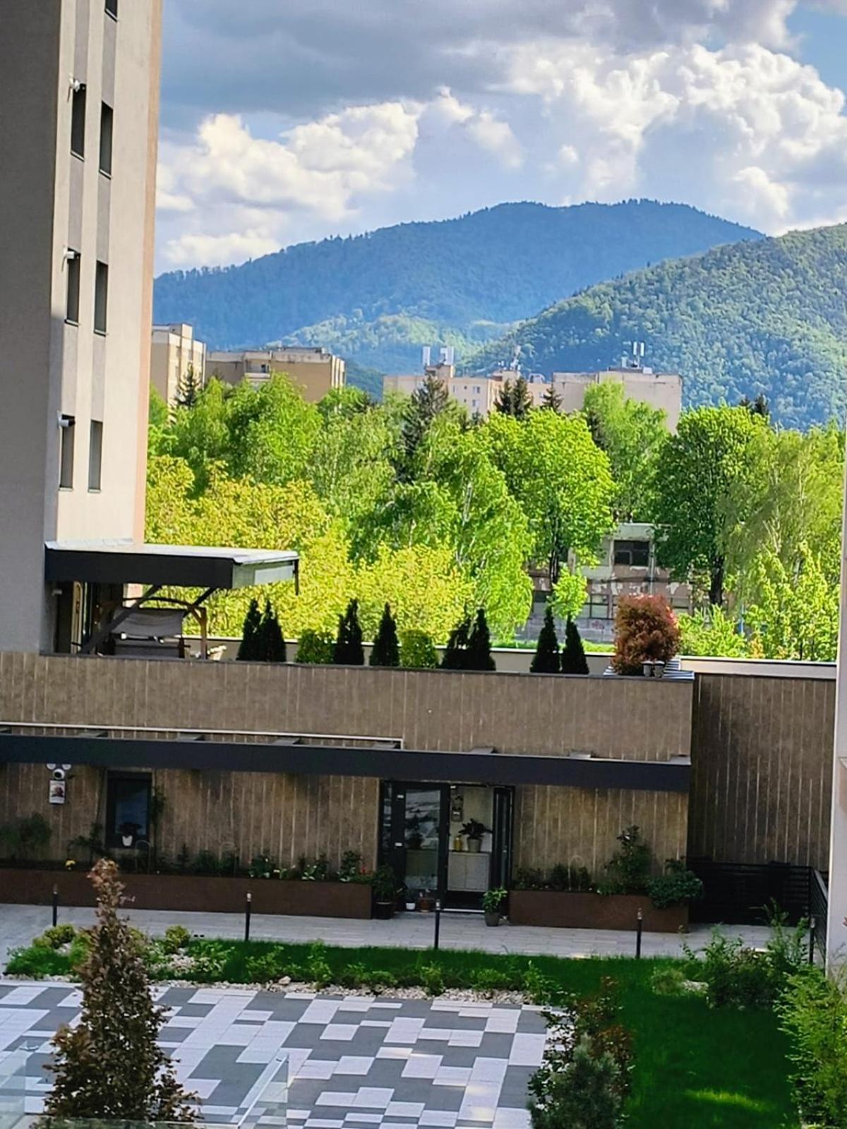 Sweet Butterflies Residence Brașov Exterior foto