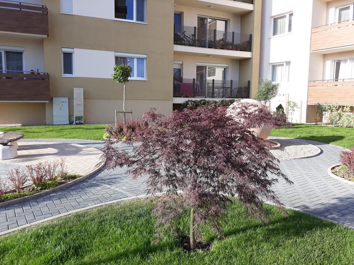 Sweet Butterflies Residence Brașov Exterior foto